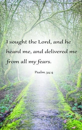 Flag Emotes, Double Sided Garden Flag, Psalm 34:4 I Sought The Lord