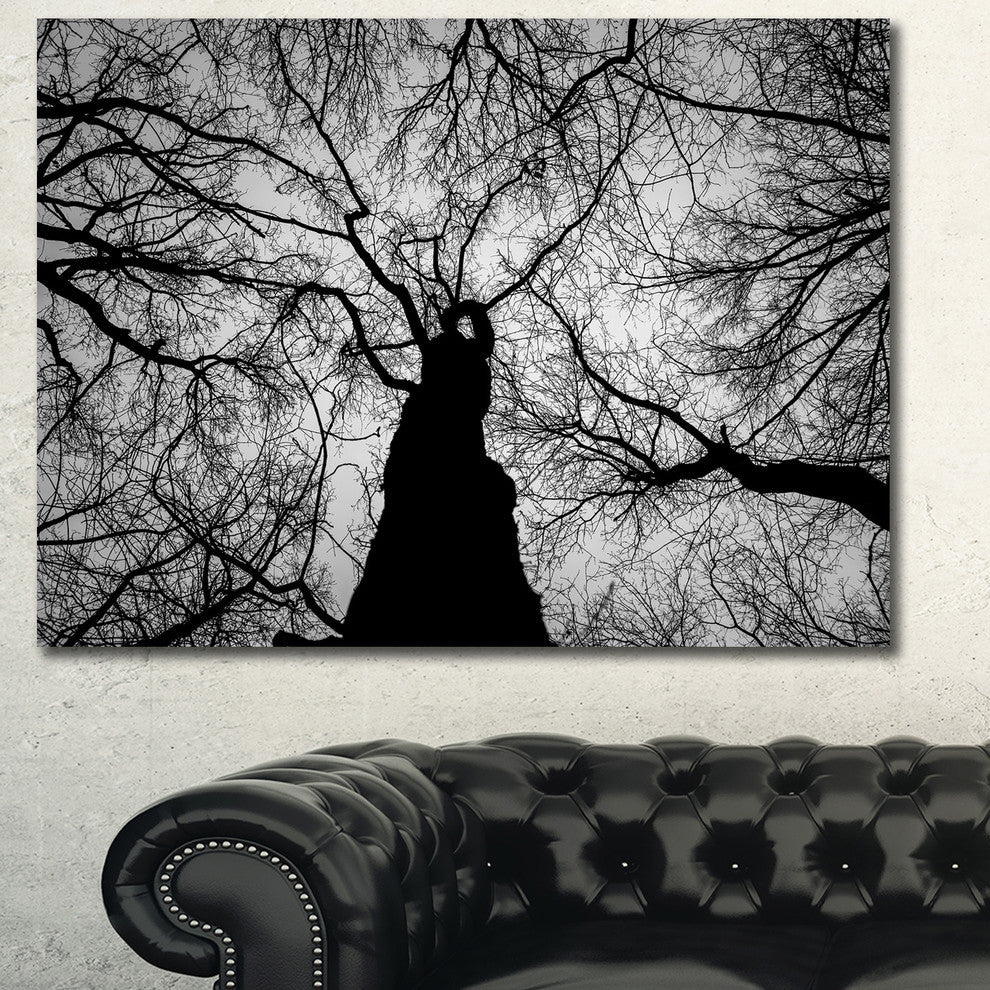 Hoto of Winter Branches, Landscape Canvas Art Print, 40"x30"