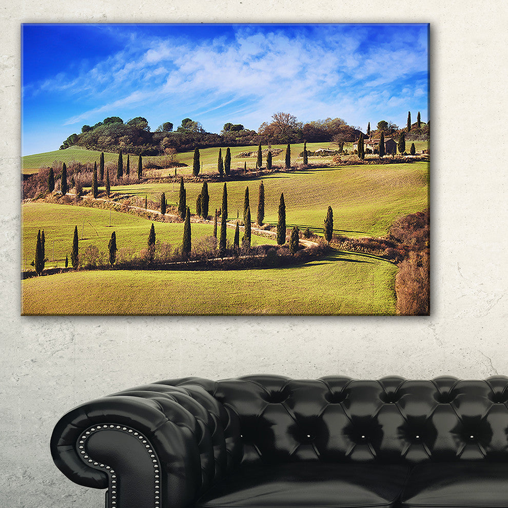 "Cypress Trees Scenic Road Siena Italy" Landscape Wall Art, 40"x30"