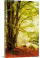 "All Alone" Wrapped Canvas Art Print, 32"x48"x1.5"