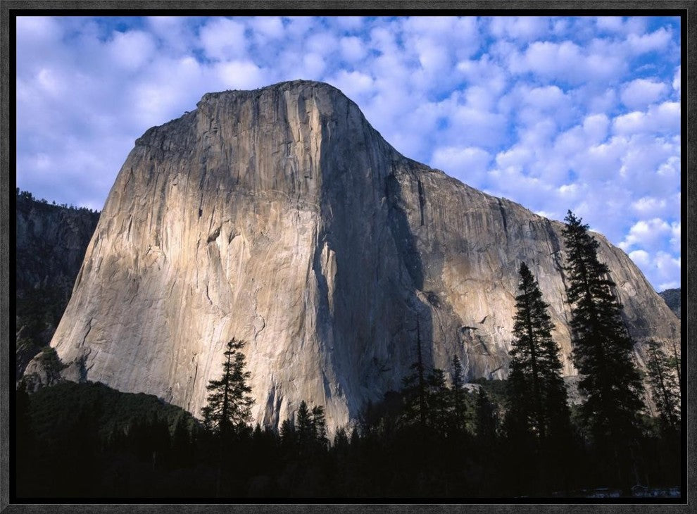 El Capitan Rising Over The Forest, Yosemite National Park, California, 16"x12"