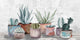 "Healthy Succulents" Painting Print on Wrapped Canvas