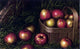 Levi Wells Prentice Harvest of Apples, 18"x27" Gallery Wrapped Canvas Print