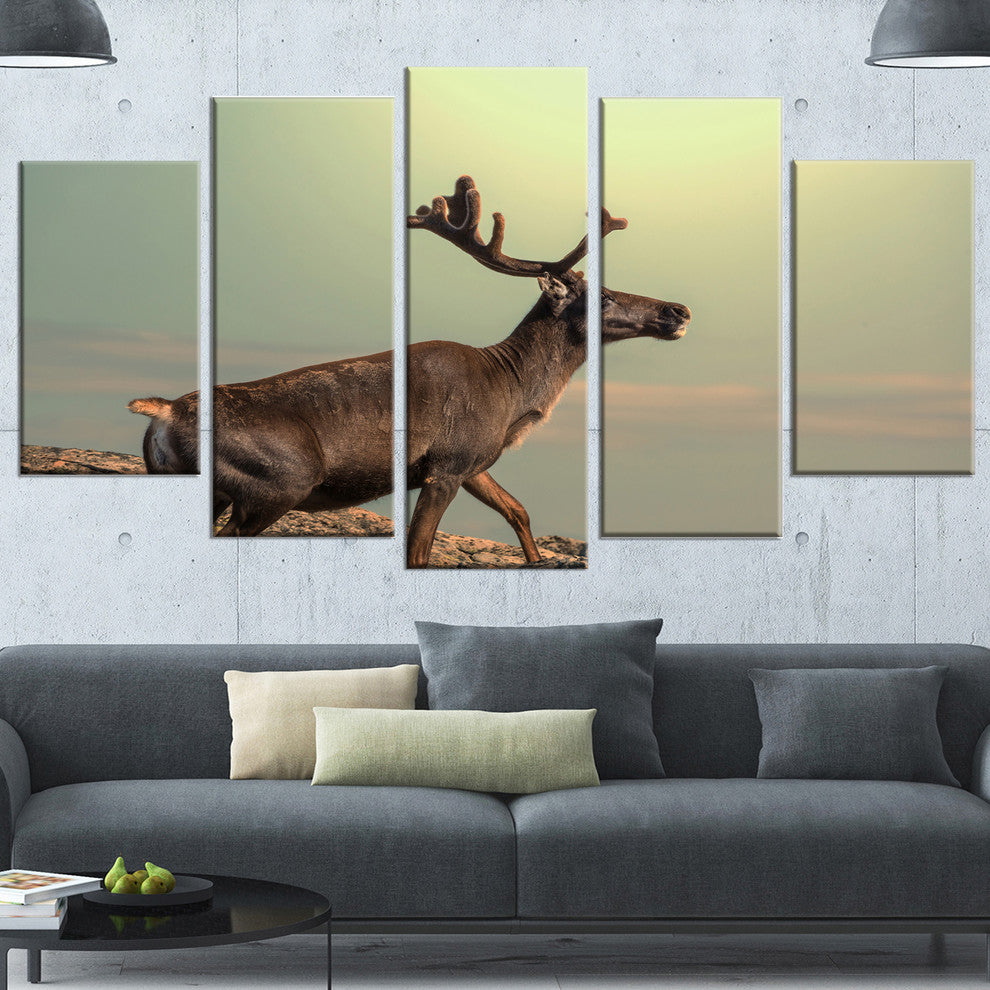 Reindeer on Top of the Mountain, Animal Canvas Art Print, 60"x32", 5 Panels
