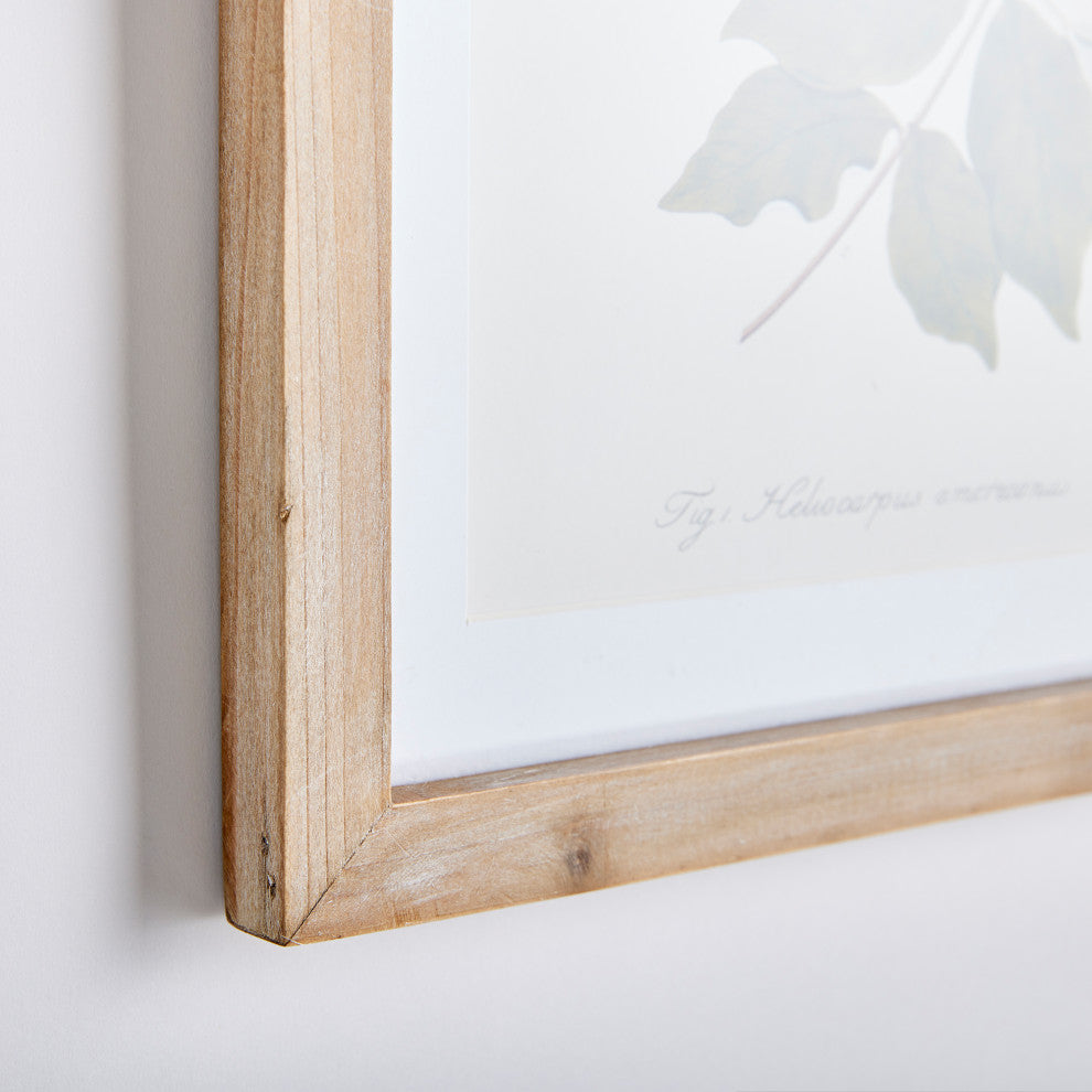 Flora And Fauna Gallery Prints, Set of 8