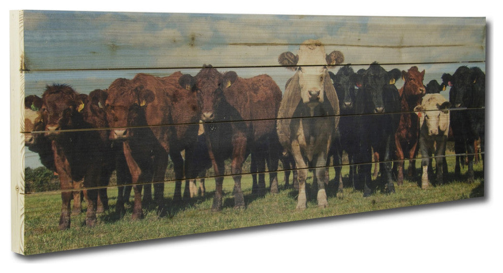 36" Charming Cow Herd Wood Plank Wall Art