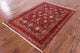 4' 2" X 5' 10" Hand-Knotted Persian Tabriz Rug Q10459