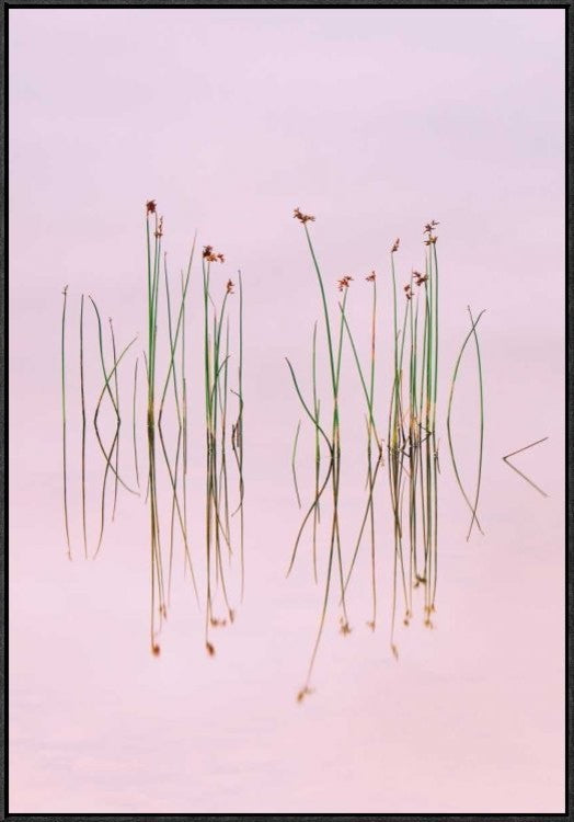 "Reflection Of Serenity" Framed Canvas Giclee by Yan Zhang, 26x37"