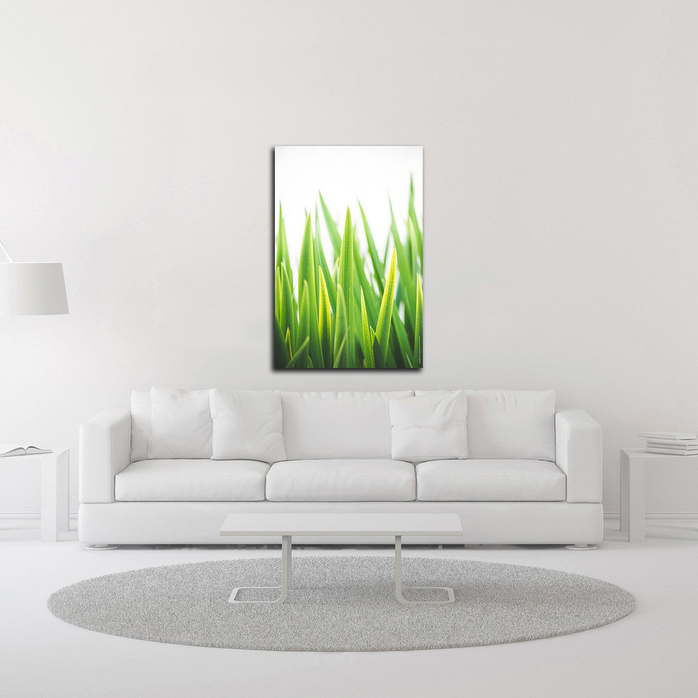 Blades of Green No. 2 by Sonja Quintero, Print on Canvas, 16" x 24"