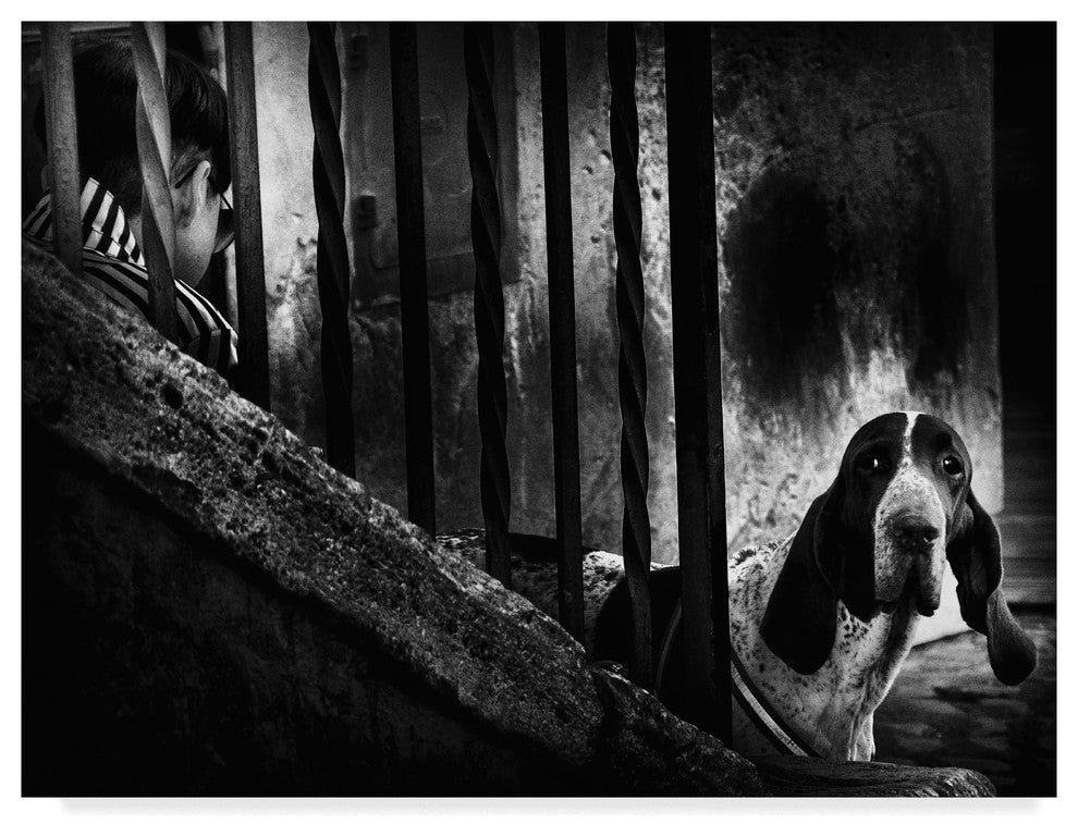 Antonio Grambone ''Curious Dog'' Canvas Art, 32"x24"