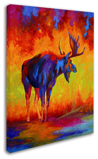 Marion Rose 'Moose 5' Canvas Art, 47 x 35