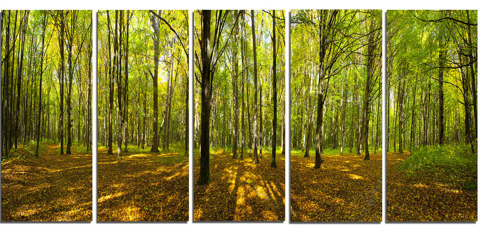 Green Autumn Forest Panorama, Landscape Canvas Art Print, 60"x28", 5 Panels
