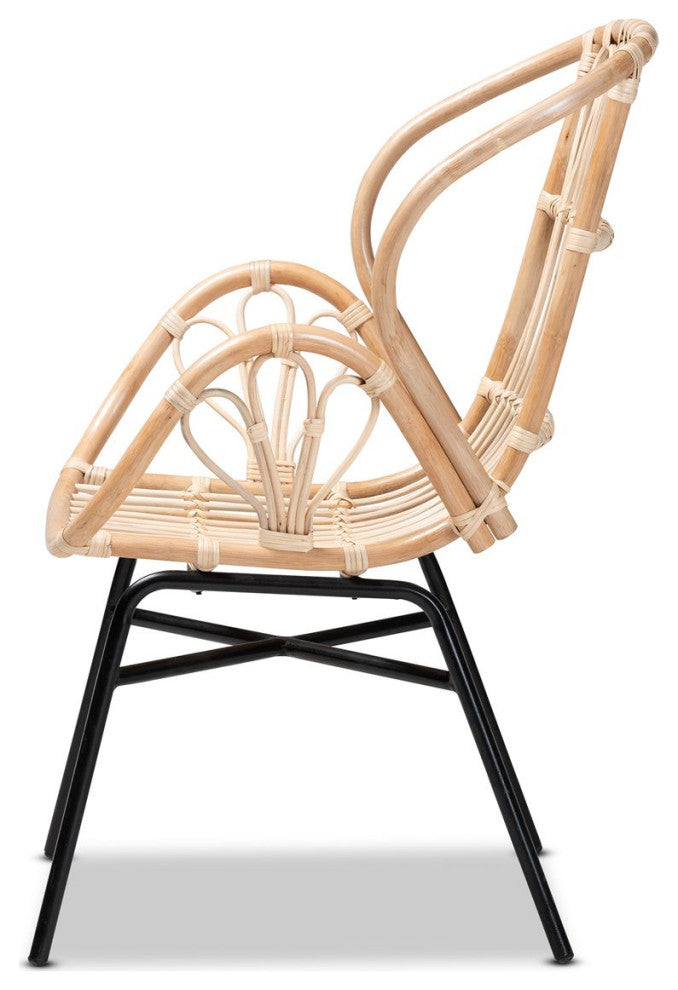 Caelia Modern Bohemian Natural Brown Rattan and Black Metal Chair