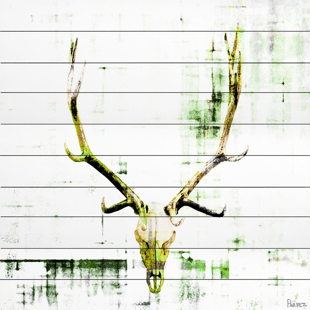 "Antler" Print on White Wood, 32"x32"
