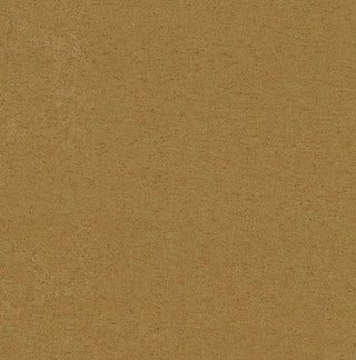 Vitality 6" Microsuede Queen-size Futon Mattress