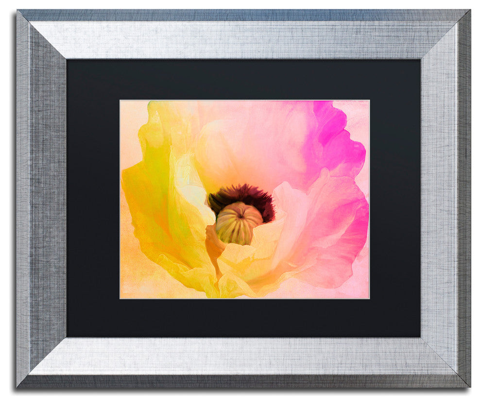 Color Bakery 'Poppy Gradient II' Art, Silver Frame, Black Matte, 14"x11"