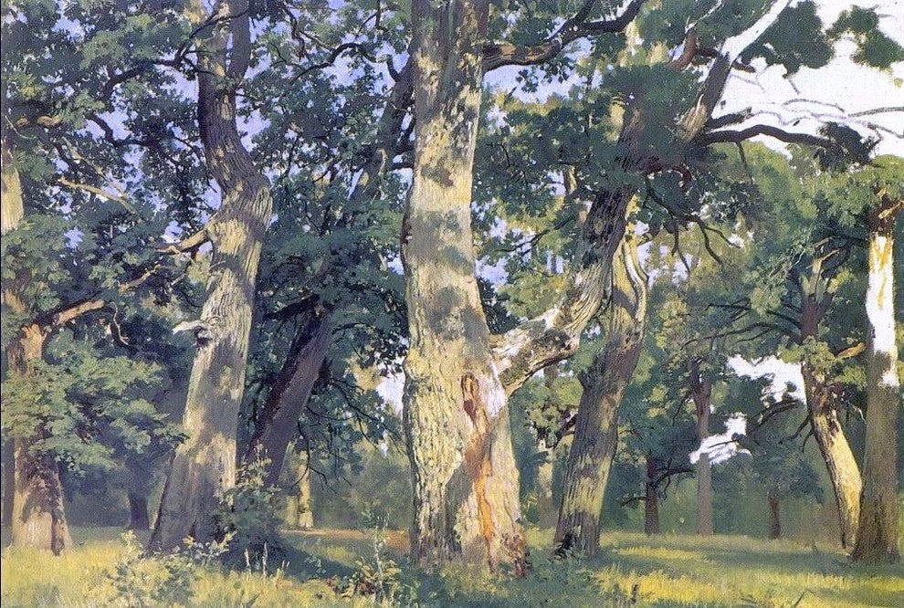 Ivan Ivanovich Shishkin Oaks Evening Wall Decal