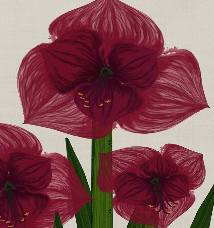 Amaryllis, Floral Print Placemat, Red (Set of 4), 18 x 14"
