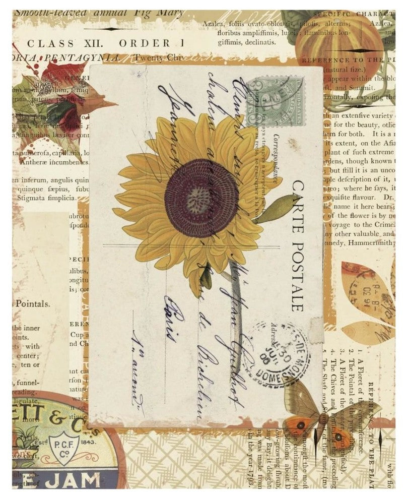 "Falling for Fall II" Digital Paper Print by Katie Pertiet, 18"x22"