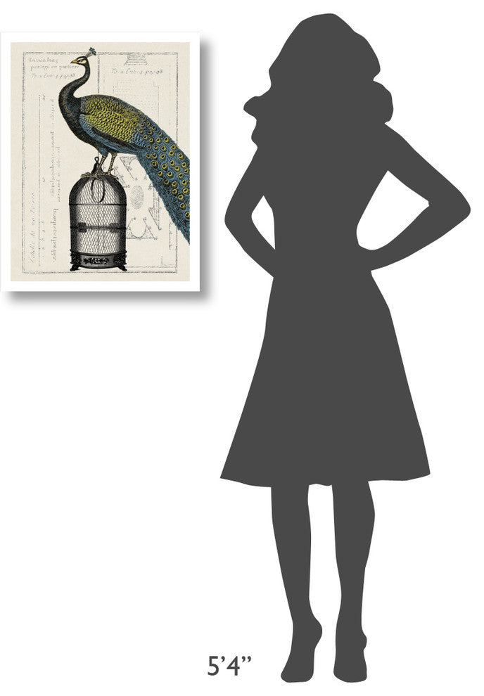"Peacock Birdcage II" Digital Paper Print by Sue Schlabach, 20"x26"