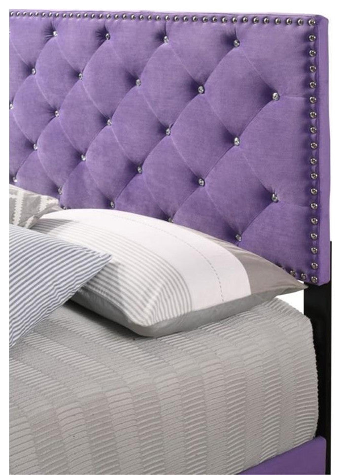 Glory Furniture Suffolk Velvet Upholstered Queen Bed in Purple