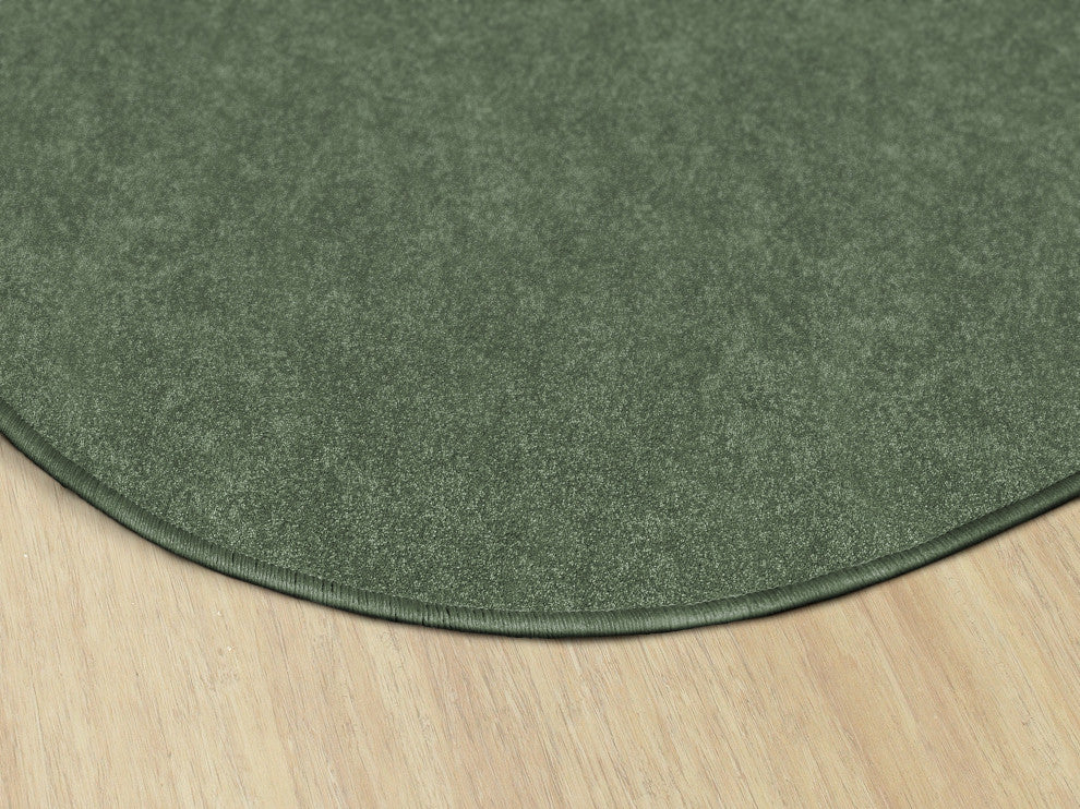 Flagship Carpets TS-27SG Amerisoft Sage Green