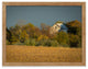 Abandoned Barn In The Trees Framed Photo Paper Wall Art Prints, Red Oak, 18" X 24"