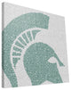 MCS Spartans Typo Canvas Print, 16"x16"