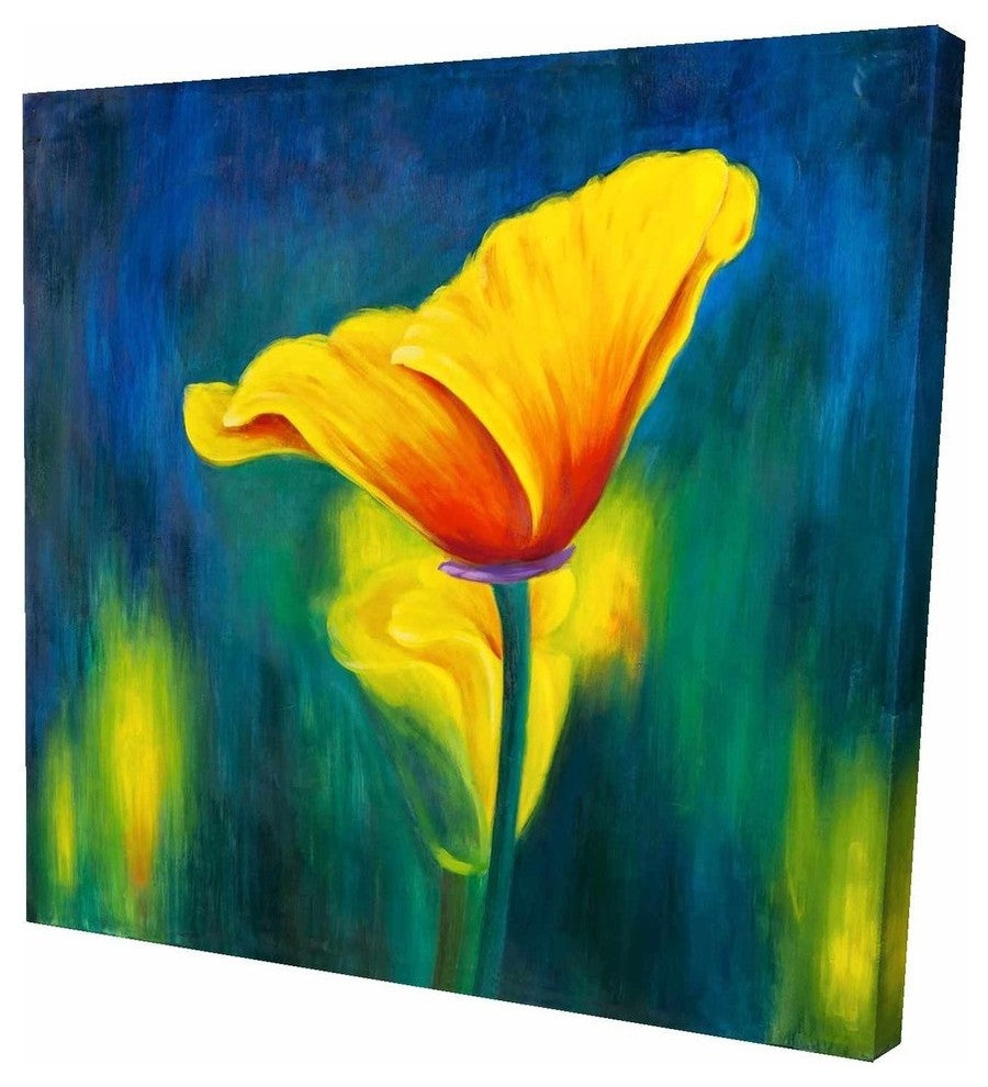 Superb Contrast Flowers, Fine Art Gallery Wrapped Canvas, 24"x24"