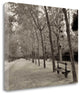 "Banc De Jardin - 44" By Alan Blaustein, Giclee Print on Gallery Wrap Canvas