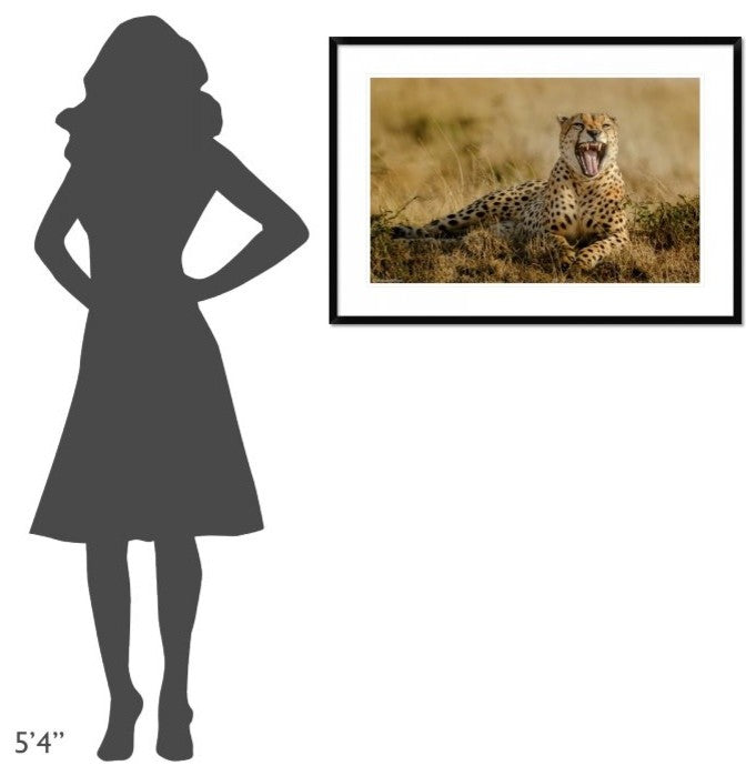 "Grumpy Morning" Framed Digital Print by Husain Alfraid, 38"x26"