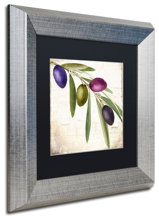 Color Bakery 'Olive Branch IV' Matted Framed Art, Silver Frame, Black Mat, 11x11