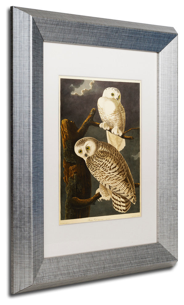 'Snowy Owl' Silver Framed Canvas Art by John James Audubon