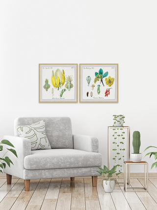 "Isn't Cute? Diptych" Framed Prints, 32"x32", 2-Piece Set