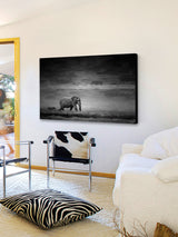 "Elephant" UV Ink Print on Brushed  Aluminum, 36"x24"