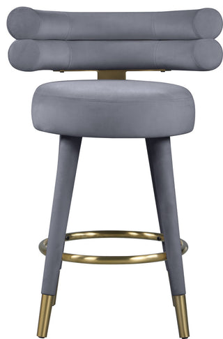 Fitzroy Velvet Upholstered Counter Height Stool (Set of 2)