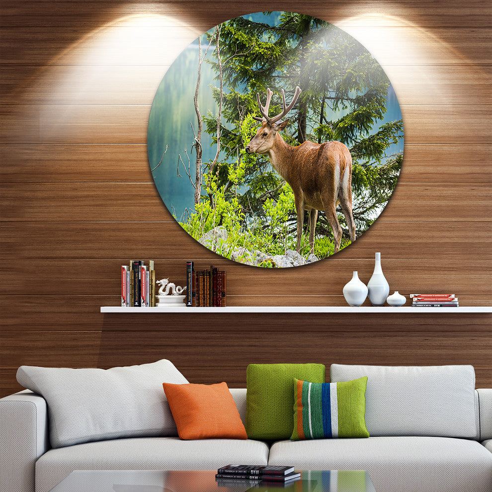 Deer Stag Near The Lake, Animal Round Wall Art, 23"