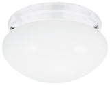 Webster 1-Light Ceiling Flush Mount, White