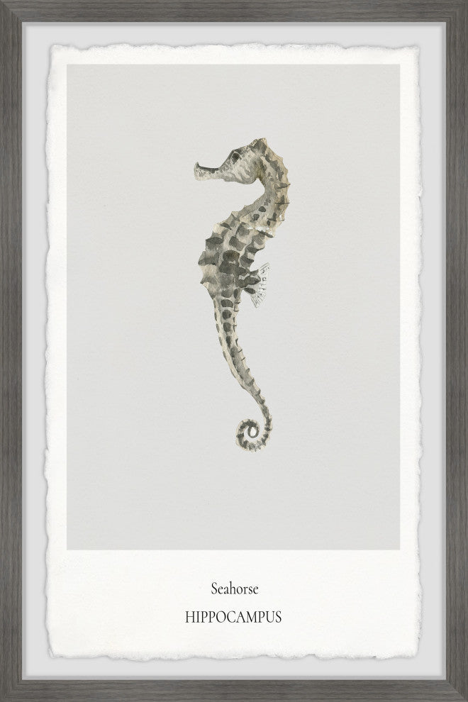 "The Hippocampus" Framed Painting Print, 8x12