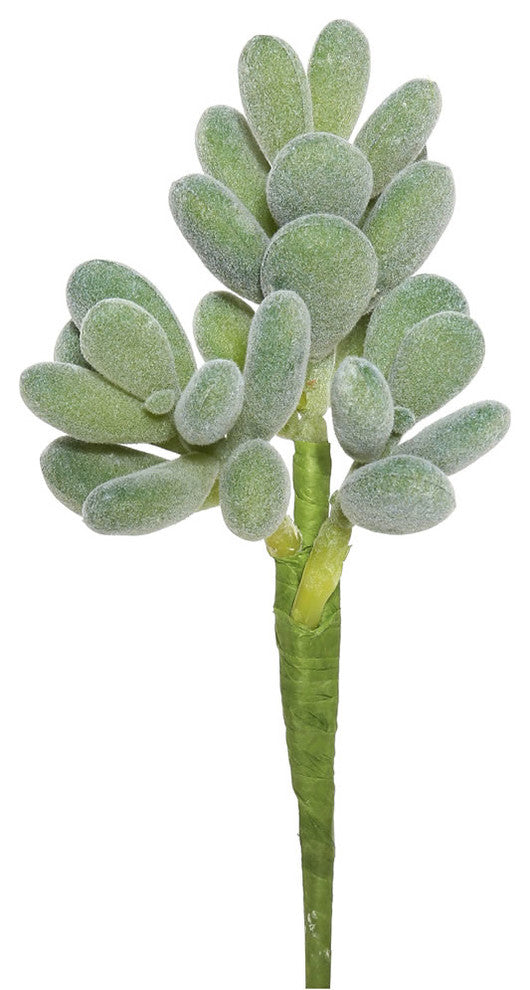 Vickerman 7" Crassula, Set of 3