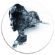 Woman Portrait Double Exposure, Portrait Large Disc Metal Wall Art, 11"