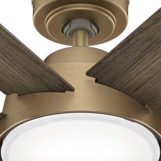 52" Donatella Burnished Brass Ceiling Fan, LED Light Kit and Handheld Remote
