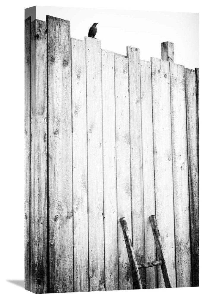 "Freed" Stretched Canvas Giclee by Jurgen Hartlieb, 13x22"