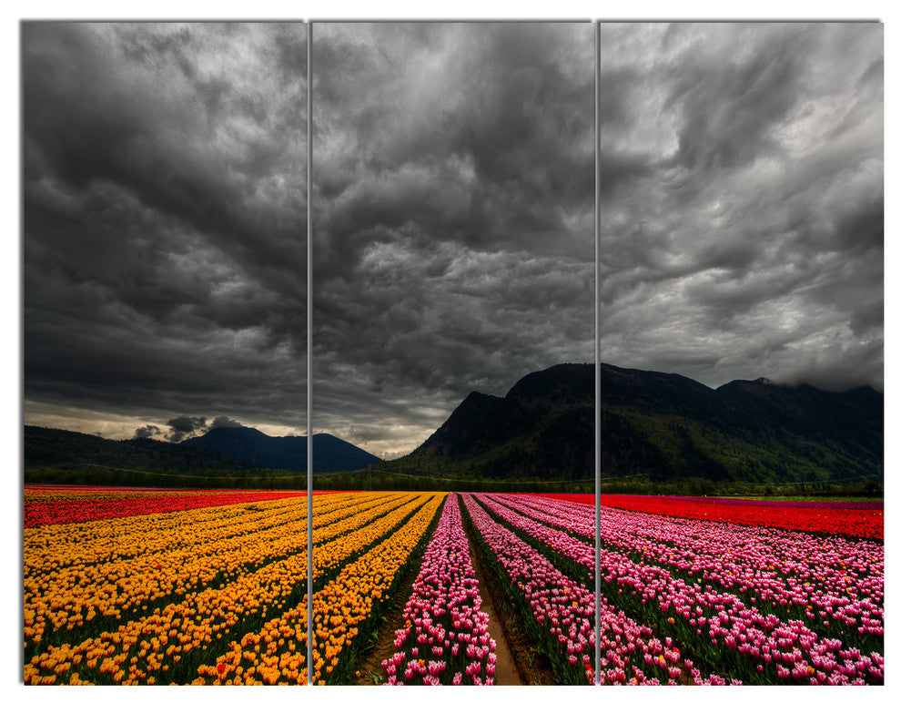 Parallel Rows of Colorful Tulips, Landscape Triptych Canvas Art, 36x28, 3 Panels