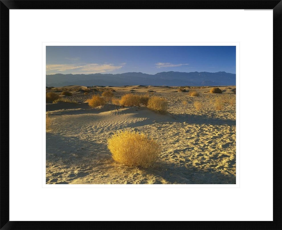 Mesquite Flat Sand Dunes, Death Valley National Park, California, 22"x18"