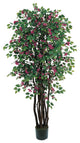 6' Bougainvillea Silk Tree