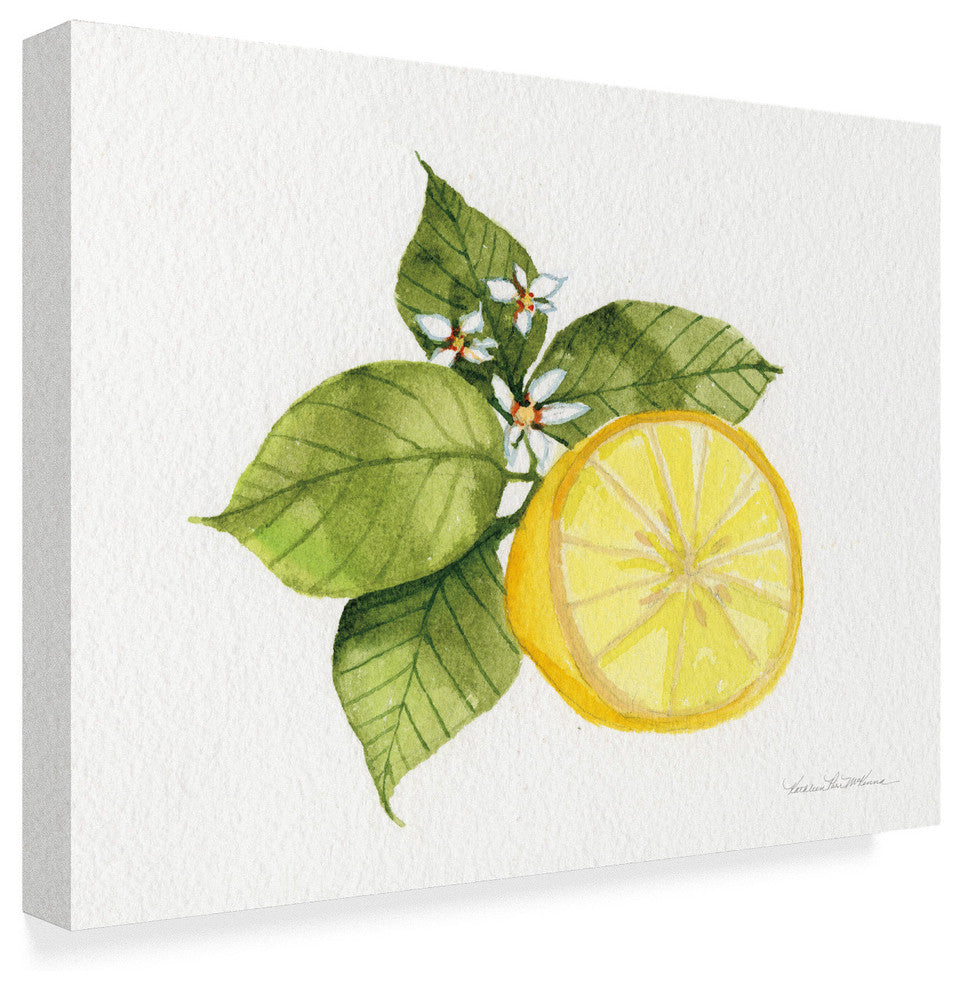 Kathleen Parr Mckenna 'Citrus Garden IX' Canvas Art