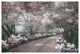 "Azalea Walk" Digital Paper Print by Diane Romanello, 50"x34"