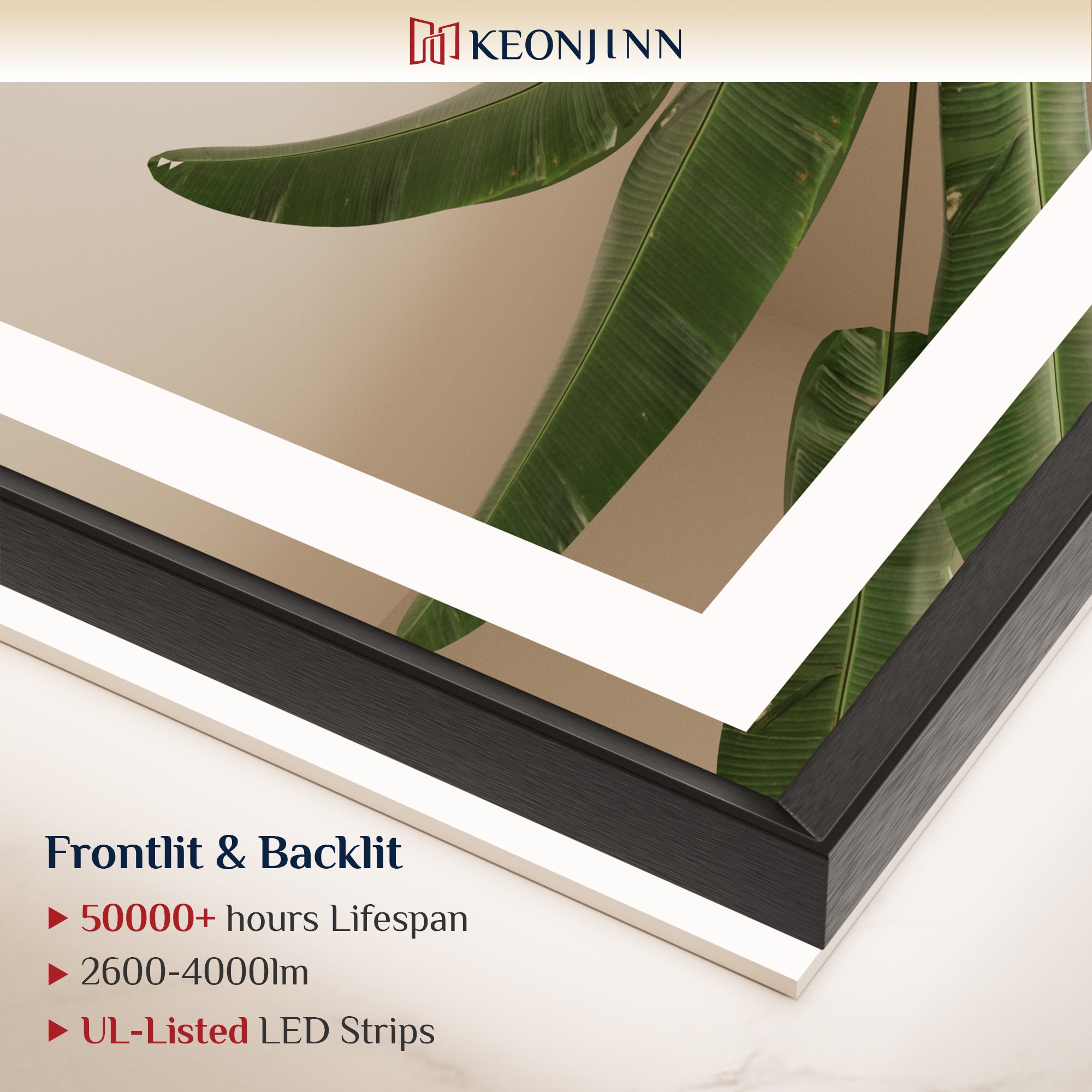 LED Vanity Mirror With Lights Metal Framed Front & Backlit, Dimmable, Black, 55x36