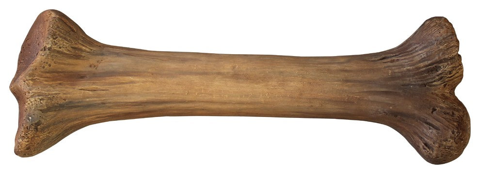 Medium Bone